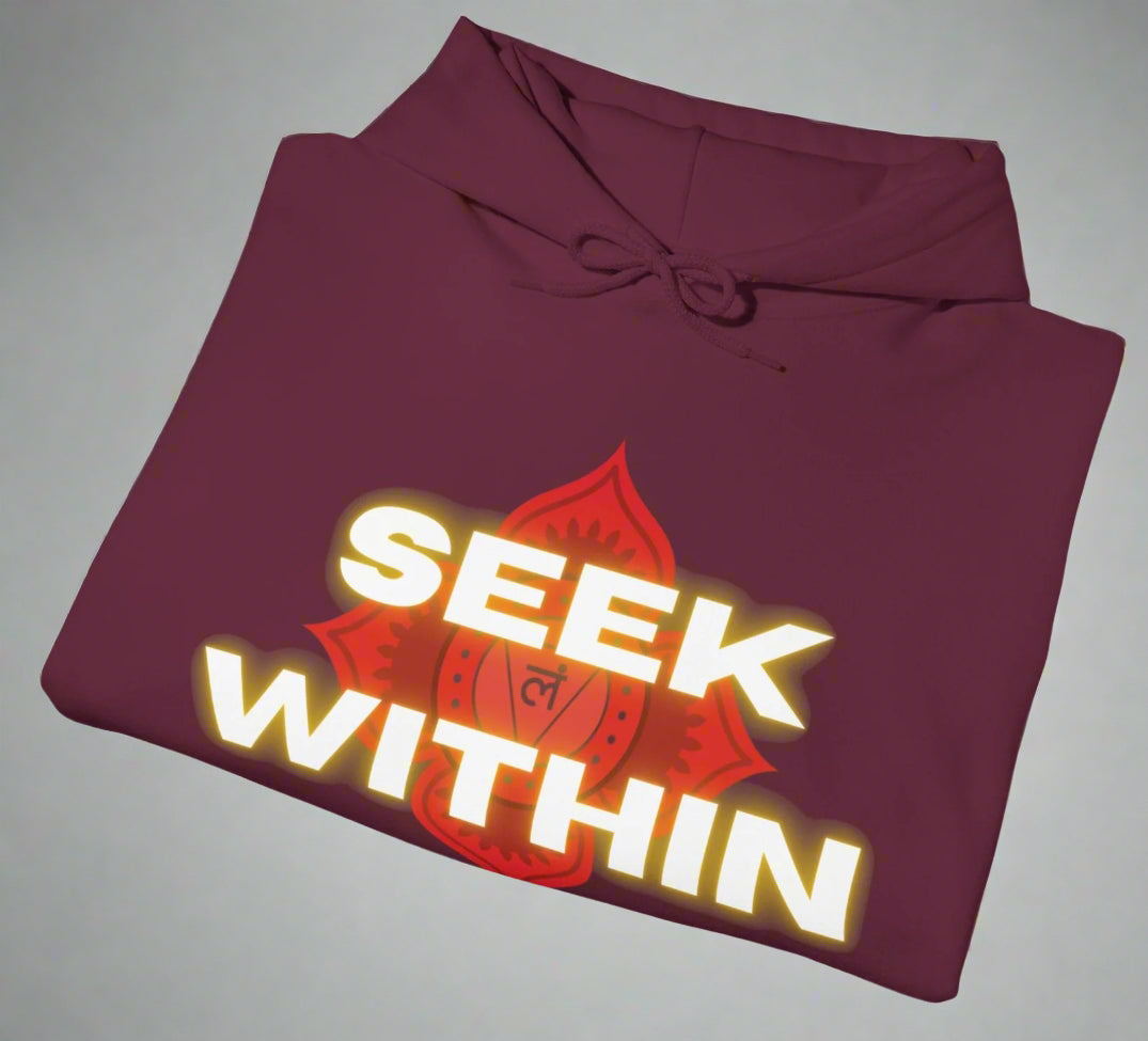 Conspi17Vibe Premium Hoodie - "Seek Within"