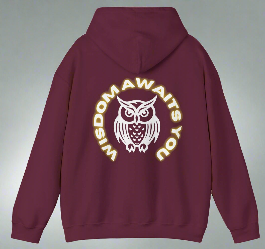 Conspi17Vibe Premium Hoodie - "Seek Within"