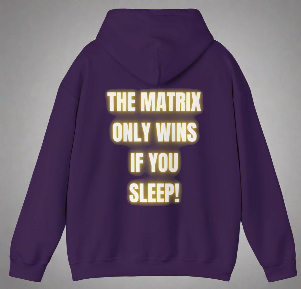 Conspi17Vibe Premium Hoodie - "AWAKEN RESIST RISE"