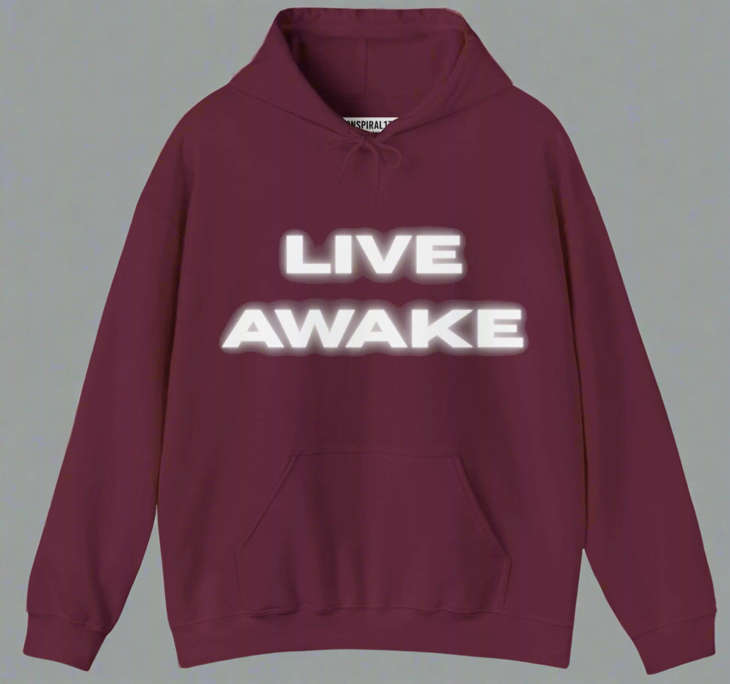 Conspi17Vibe Premium Hoodie -"Live Awake"