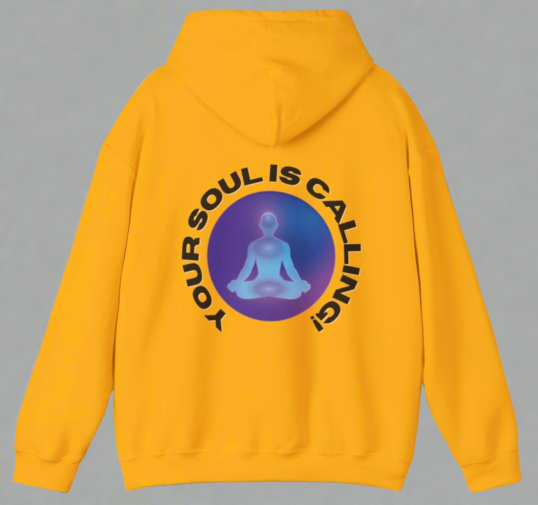 Conspi17Vibe Premium Hoodie -'Awaken Now Your Soul is Calling'