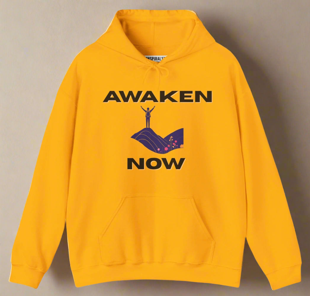 Conspi17Vibe Premium Hoodie -'Awaken Now Your Soul is Calling'