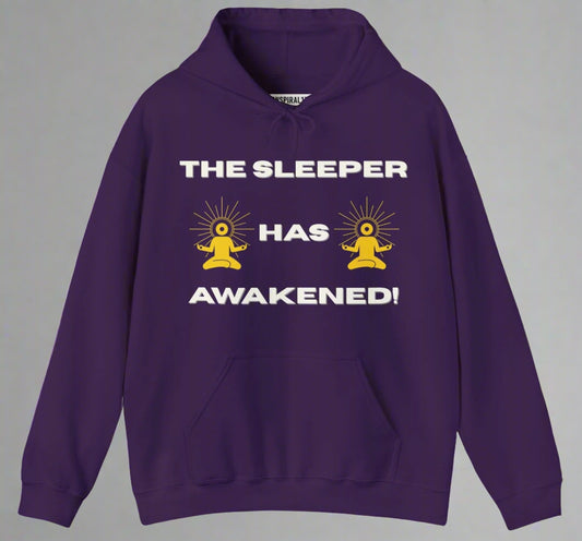 Conspi17Vibe Premium Hoodie -"The Sleeper Has Awakened"